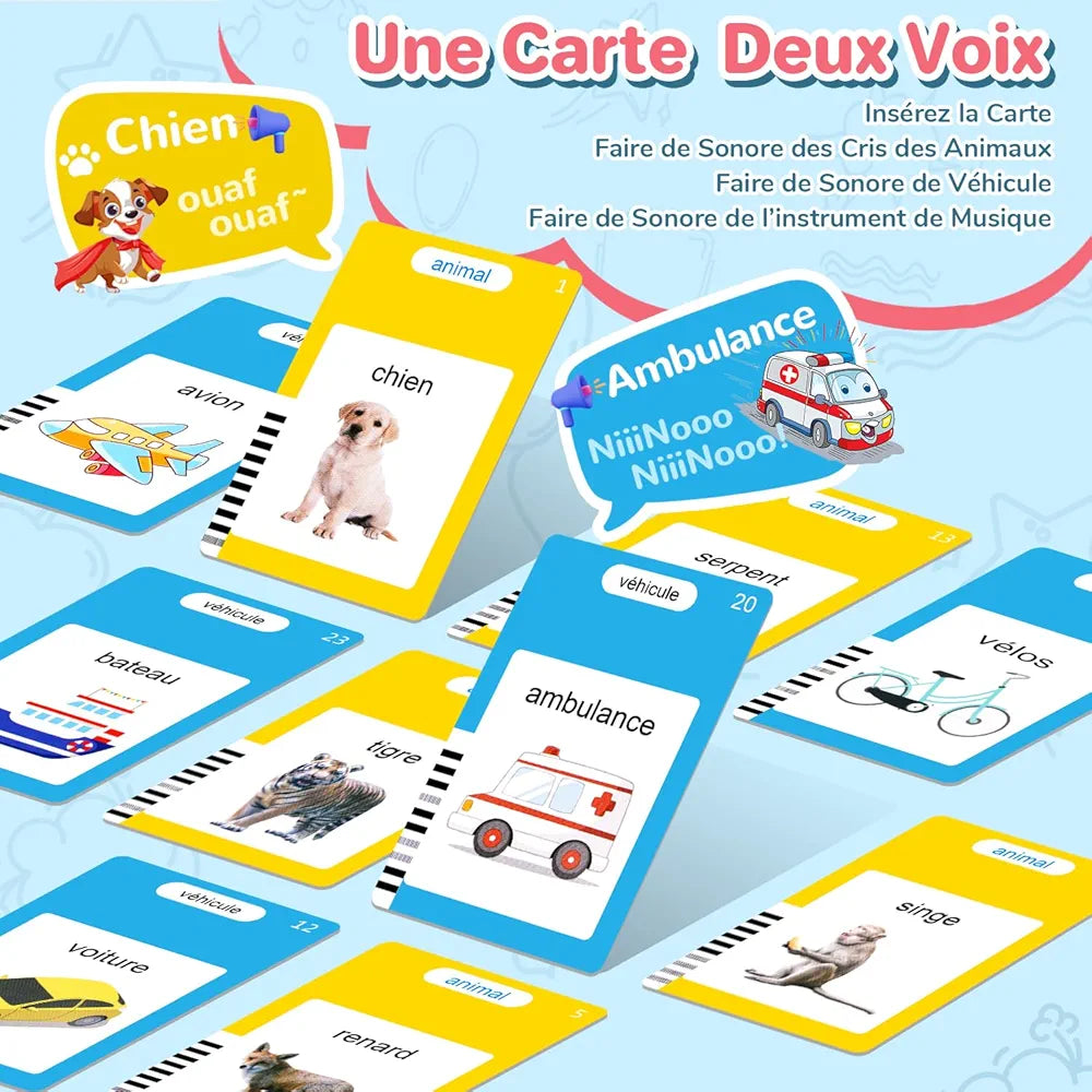🎓 Lecteur de cartes éducatif bilingue
